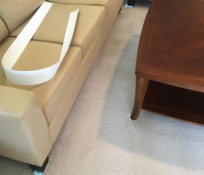 Clean living room carpet with couch and coffee table