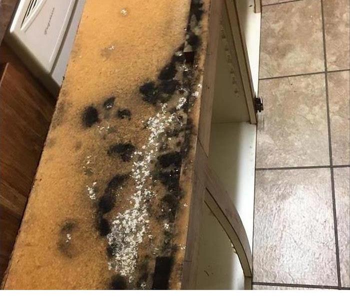 Cabinet full of mold
